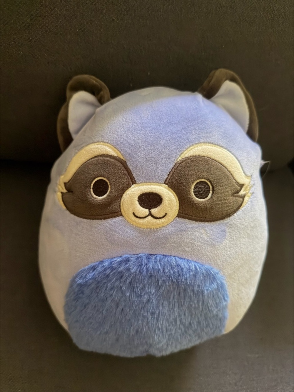 Squishmallows Blue Duranga the Raccoon Plush
